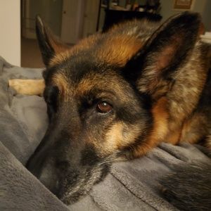 Meet your Posher, Christi